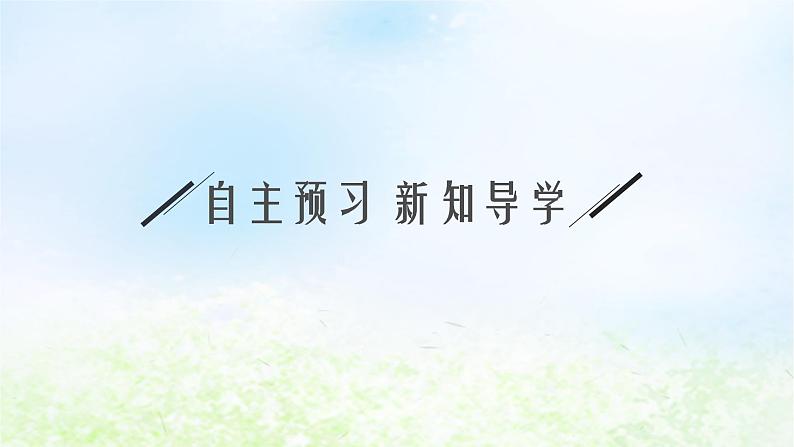 北师大版高中数学选择性必修第一册2-2-2双曲线的简单几何性质课件第3页