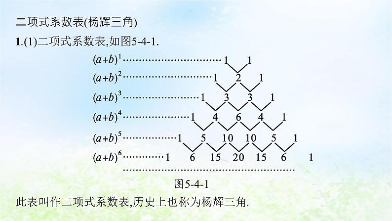 北师大版高中数学选择性必修第一册5-4-2二项式系数的性质课件04