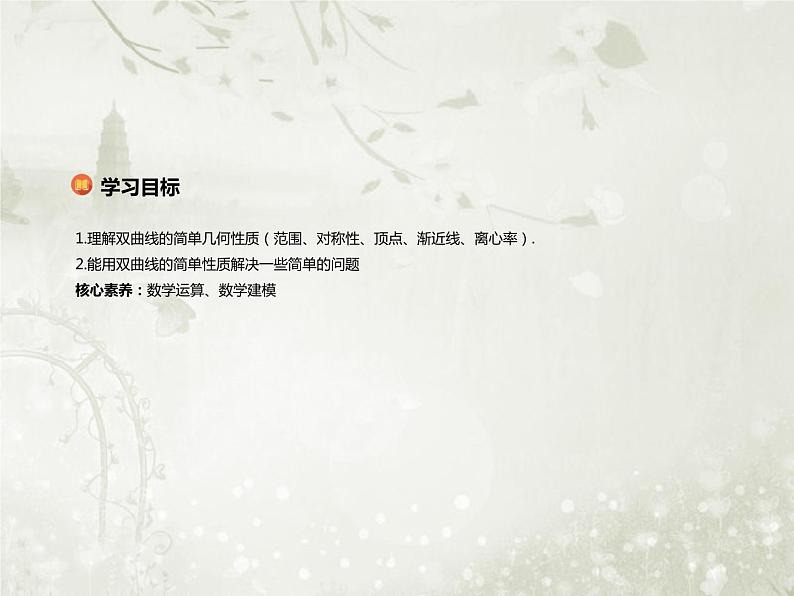 北师大版高中数学选择性必修第一册2-2-2双曲线的简单几何性质课件第2页