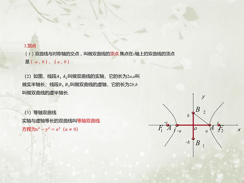 北师大版高中数学选择性必修第一册2-2-2双曲线的简单几何性质课件第5页