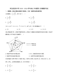 高中数学高考精品解析：【全国百强校】河北省武邑中学2019届高三下学期第三次模拟考试数学（理）试题（原卷版）
