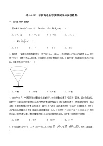 高中数学高考卷14-2021年新高考数学实战演练仿真模拟卷（原卷版）