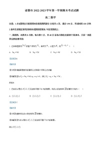 2022-2023学年浙江省绍兴市诸暨市高二上学期期末考试数学试题含解析