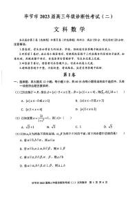 2022-2023学年贵州省毕节市高三下学期第二次诊断性考试文科数学试题 PDF版