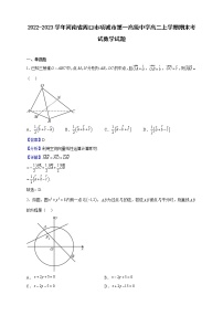 2022-2023学年河南省周口市项城市第一高级中学高二上学期期末考试数学试题（解析版）