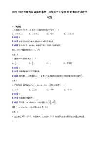 2022-2023学年青海省海东市第一中学高二上学期12月期中考试数学试题（解析版）