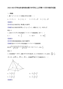 2022-2023学年山东省枣庄市第八中学高二上学期11月月考数学试题（解析版）