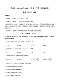 2022-2023学年陕西省咸阳市武功县高三上学期1月（月考）第二次质量检测理科数学试题含答案