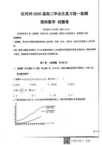 2020届云南省红河州高三第一次复习统一检测数学（理）试题 PDF版