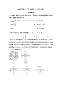 2023年高三1月大联考（全国乙卷）理科数学试题（Word版附解析）