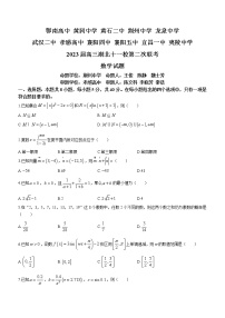 2023湖北省十一校高三下学期第二次联考数学试卷含答案
