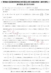 2023届青海省西宁市大通回族土族自治县高三二模数学理答案