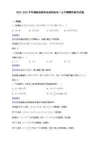 2022-2023学年湖南省邵阳市武冈市高一上学期期中数学试题含解析