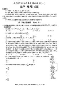 2023年咸阳市高三一模理科数学试题含答案解析