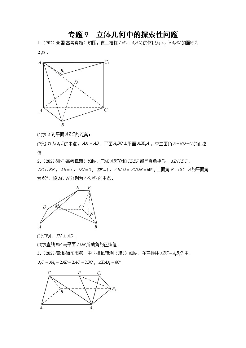 2023年高考数学大题专练（新高考专用） 专题09 空间向量与立体几何  Word版无答案第1页