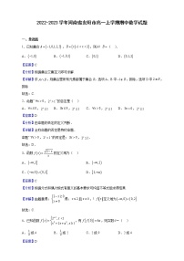 2022-2023学年河南省安阳市高一上学期期中数学试题含解析