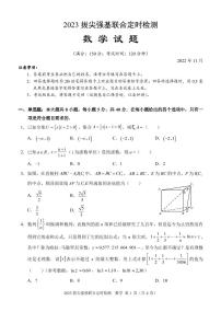 2022-2023学年重庆市西南大附中高三上学期11月拔尖强基联合定时检测数学试题 PDF版