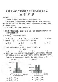 2023贵州省高三下学期普通高等学校招生适应性测试数学（文）PDF版含答案