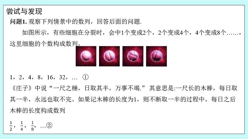 人教B版高二数学选择性必修第三册5.3.1《等比数列》课件+教案03