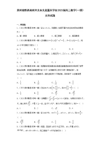 贵州省黔西南州兴义市义龙蓝天学校2023届高三数学（一模）文科试题