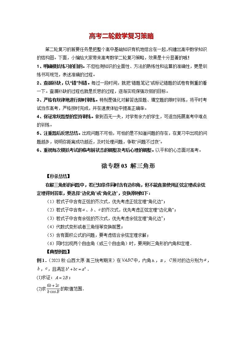 微专题03 解三角形（原卷版）第1页