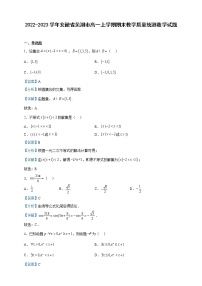 2022-2023学年安徽省芜湖市高一上学期期末教学质量统测数学试题含解析