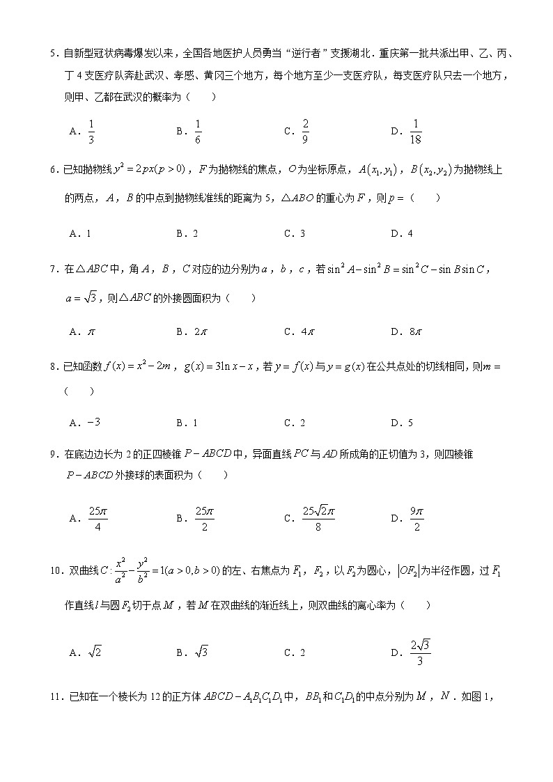 2020届重庆市巴蜀中学高三下学期适应性月考九理科数学试题 (2)第2页