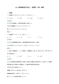 2023届西藏拉萨市高三一模数学（理）试题含解析