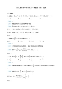 2023届宁夏中卫市高三一模数学（理）试题含解析