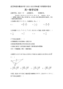 2023武汉部分重点中学高一下学期期中联考试题数学含答案