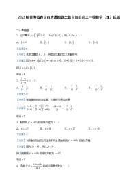 2023届青海省西宁市大通回族土族自治县高三一模数学（理）试题含解析