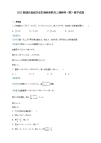 2023届湖北省武汉市东湖风景区高三调研卷（四）数学试题含解析
