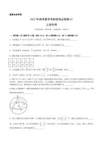 2023年上海市高考考前信息必刷模拟数学卷（一）PDF版含答案
