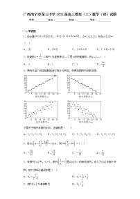 广西南宁市第三中学2023届高三模拟（三）数学（理）试题（含答案）