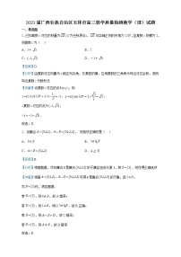 2023届广西壮族自治区玉林市高三教学质量检测数学（理）试题含解析