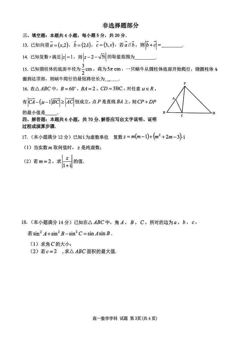 浙江省台州市八校联盟2022-2023学年高一下学期期中联考数学试题03