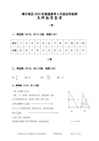 2022-2023学年新疆喀什地区高三下学期普通高考4月适应性检测数学文PDF版含答案