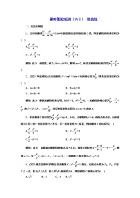 2024年高考数学一轮复习（新高考方案）课时跟踪检测（六十） 双曲线