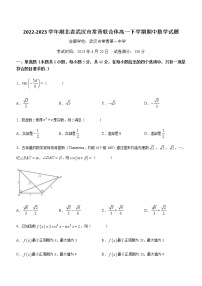 2022-2023学年湖北省武汉市常青联合体高一下学期期中数学试题含答案