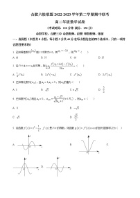 安徽省合肥市六校联盟2022-2023学年高二下学期期中联考数学试题