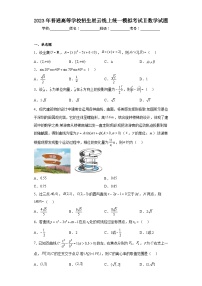 2023年普通高等学校招生星云线上统一模拟考试Ⅱ数学试题（含答案）