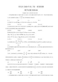 2020届山东省青岛市高三4月统一质量检测（一模）数学试题 PDF版