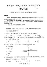 2023青岛高三年级二模考试数学试卷及参考答案