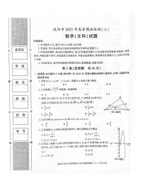 2022-2023学年陕西省咸阳市高三下学期三模数学（文）试题PDF版含答案