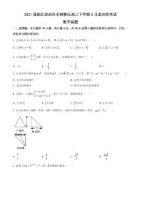 2021届浙江省绍兴市柯桥区高三下学期5月适应性考试数学试题 PDF版
