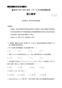 2023届重庆市高三下学期5月月度质量检测数学试题含答案