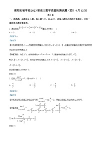 广东省汕头市潮阳实验学校2022-2023学年高三数学下学期4月教学质量检测（四）（Word版附答案）