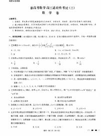 新高考数学高三适应性考试（三）数学卷（原卷版+教师版）