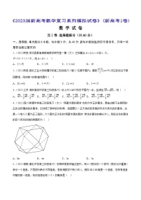 专题1 《2023届新高考数学复习系列模拟试卷》（新高考I卷）1