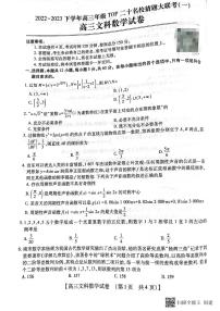 2023届河南省TOP二十名校高三下学期猜题大联考（一）文数